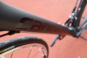 IMG_2959