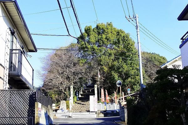 s-_DSC0598