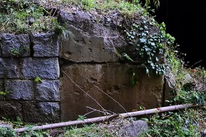 s-_DSC0717