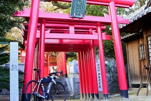 s-_DSC0793