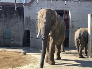 s-IMG_2433
