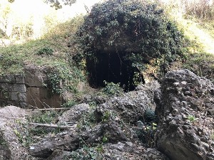 s-IMG_2883