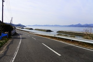 s-_DSC0947