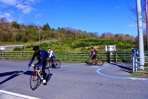 s-_DSC1211