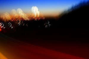 s-_DSC1461