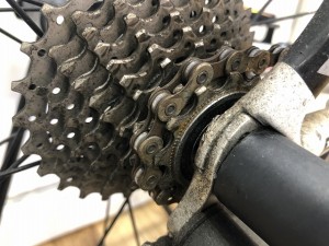 -800IMG_5948