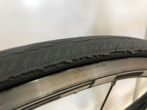 -800IMG_5949