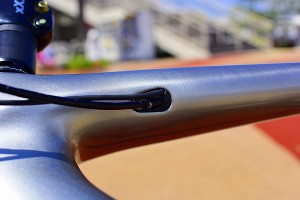 s-_DSC6553
