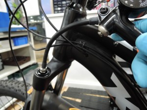 DSCN4281[1]