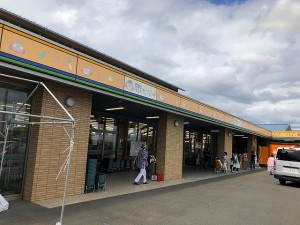 縮小IMG_8449