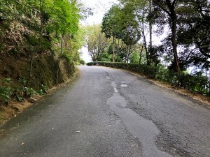 縮小IMG_8454