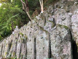 縮小IMG_8469