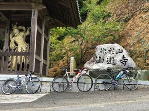 縮小IMG_8487
