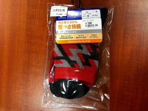 縮小IMG_9487