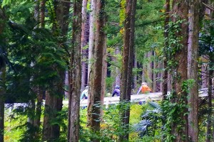 s-IMG_9193