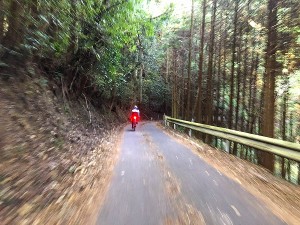 s-IMG_9512