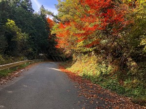 s-IMG_9539