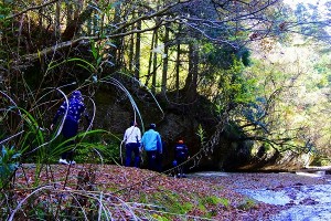 s-IMG_9783