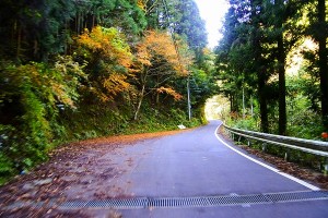 s-IMG_9805