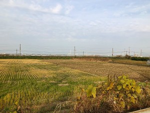 s-IMG_0329