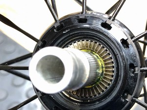 s-IMG_1355