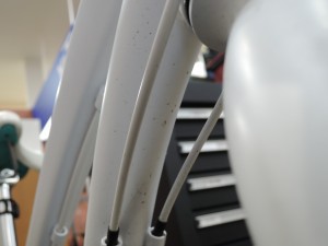 DSCN4559[1]