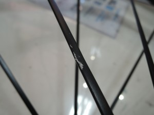 DSCN4598[1]