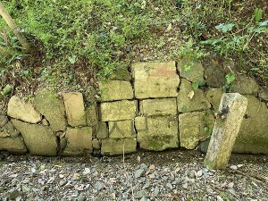 s-IMG_3789