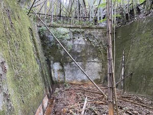 s-IMG_3792