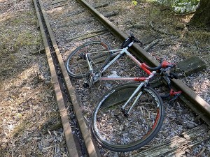 s-IMG_3799