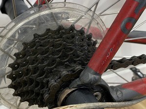 s-IMG_4235