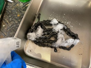 s-IMG_0101