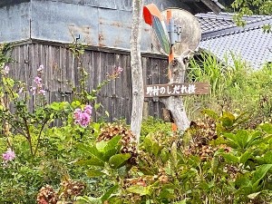 s-IMG_0308