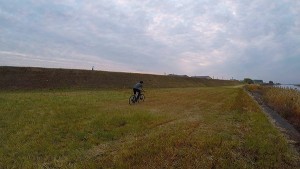 縮小AJPU8517