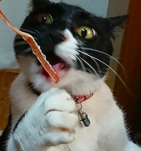 縮小IMG_1344