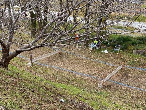 s-IMG_2019