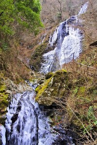 s-IMG_2638