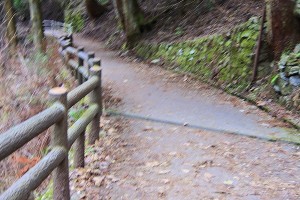 s-IMG_2640