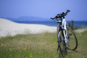 IMG_3010