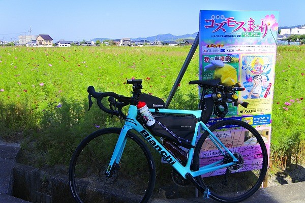 s-_DSC6571