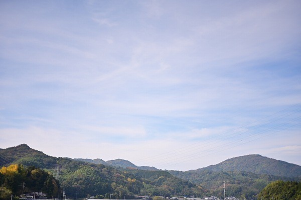 s-DSC_3352