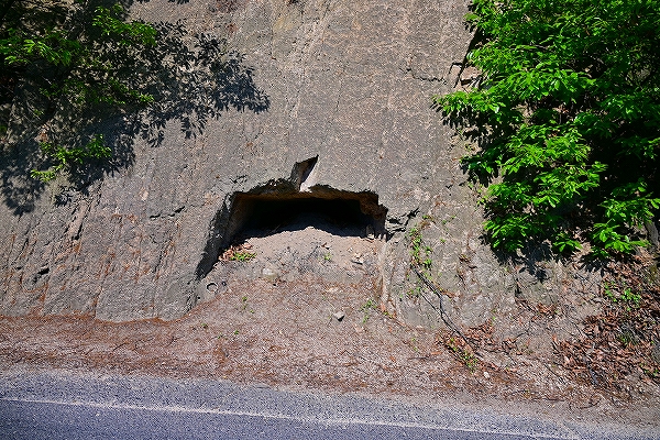 s-DSC_3188