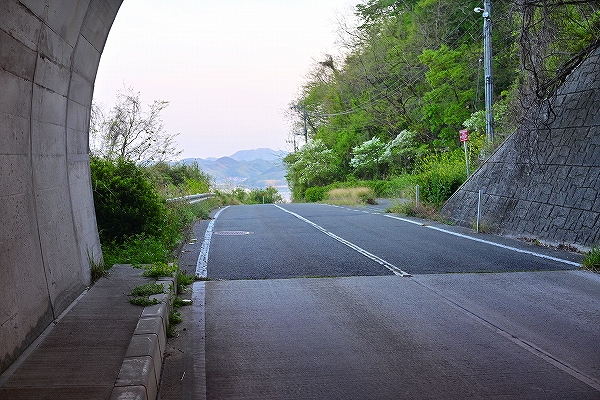 s-DSC_3269