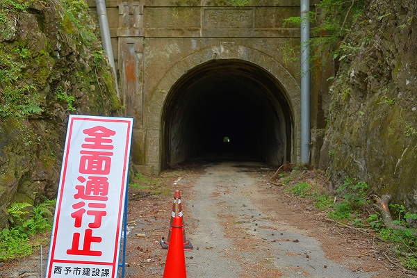 s-DSC_3687