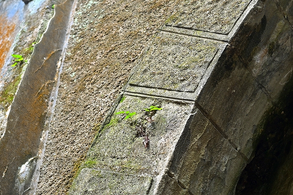 s-DSC_3693