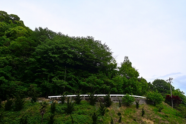 s-DSC_3702