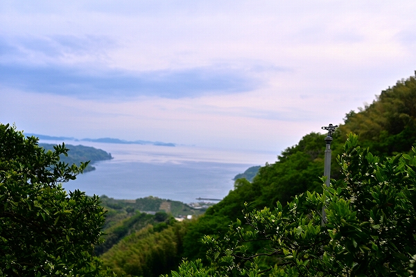 s-DSC_3704