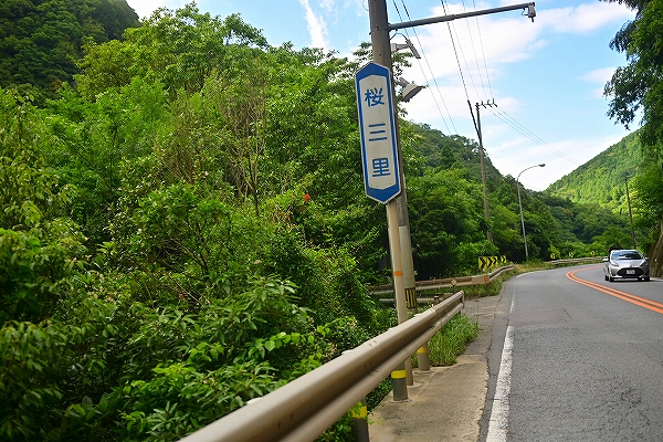 s-DSC_6281