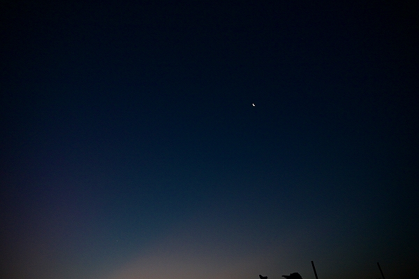 s-DSC_6343