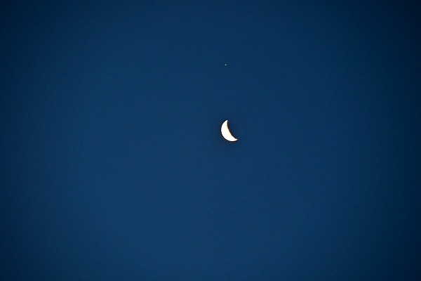 s-DSC_6344